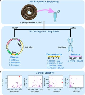 Maximizing Molecular Data From Low-Quality Fluid-Preserved Specimens in Natural History Collections